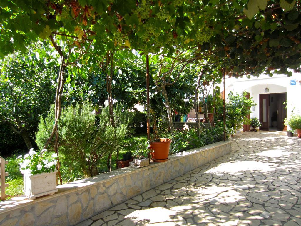 Olea Porec